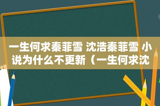 一生何求秦菲雪 沈浩秦菲雪 小说为什么不更新（一生何求沈浩秦菲雪小说全文免费阅读无弹窗）