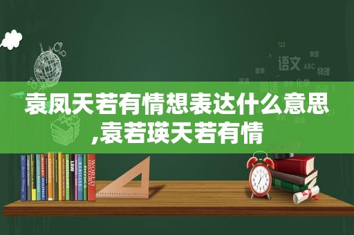 袁凤天若有情想表达什么意思,袁若瑛天若有情