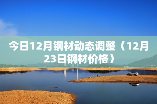 今日12月钢材动态调整（12月23日钢材价格）