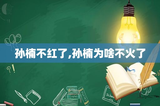 孙楠不红了,孙楠为啥不火了