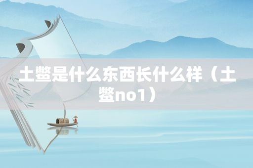 土鳖是什么东西长什么样（土鳖no1）