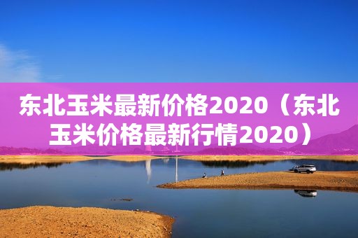 东北玉米最新价格2020（东北玉米价格最新行情2020）