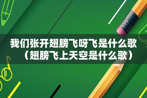 我们张开翅膀飞呀飞是什么歌（翅膀飞上天空是什么歌）