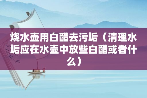 烧水壶用白醋去污垢（清理水垢应在水壶中放些白醋或者什么）