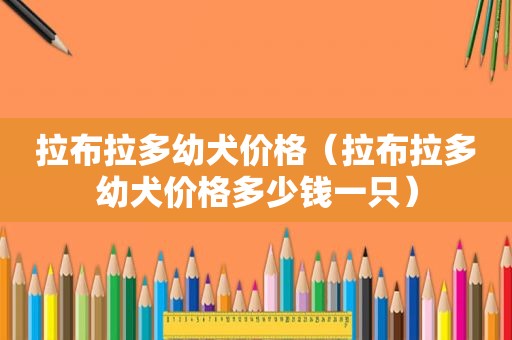 拉布拉多幼犬价格（拉布拉多幼犬价格多少钱一只）