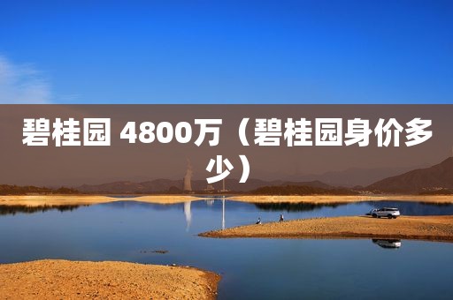 碧桂园 4800万（碧桂园身价多少）