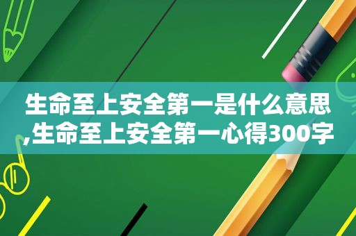 生命至上安全第一是什么意思,生命至上安全第一心得300字