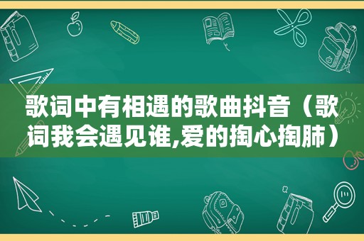 歌词中有相遇的歌曲抖音（歌词我会遇见谁,爱的掏心掏肺）