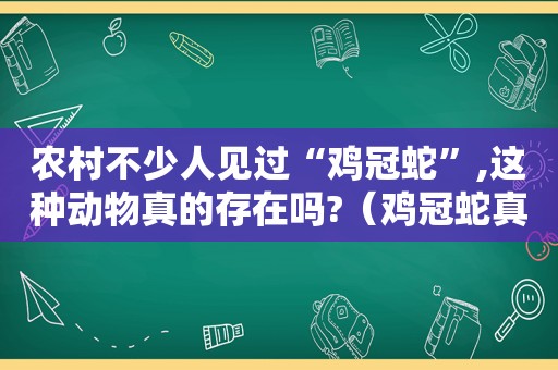 农村不少人见过“鸡冠蛇”,这种动物真的存在吗?（鸡冠蛇真的存在吗视频）