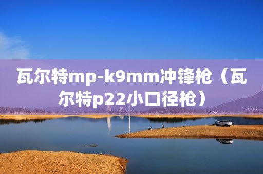 瓦尔特mp-k9mm冲锋枪（瓦尔特p22小口径枪）