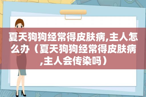 夏天狗狗经常得皮肤病,主人怎么办（夏天狗狗经常得皮肤病,主人会传染吗）