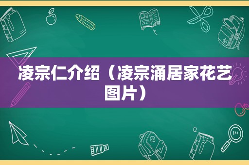 凌宗仁介绍（凌宗涌居家花艺图片）