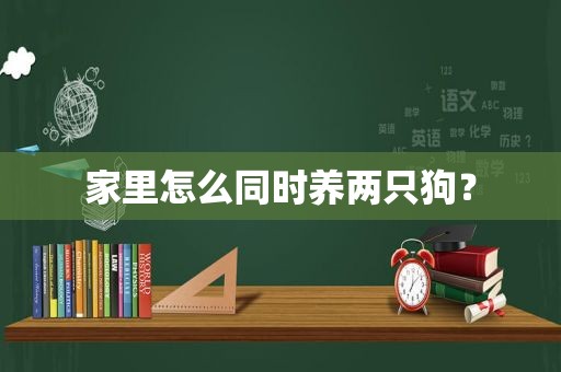 家里怎么同时养两只狗？