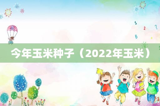 今年玉米种子（2022年玉米）