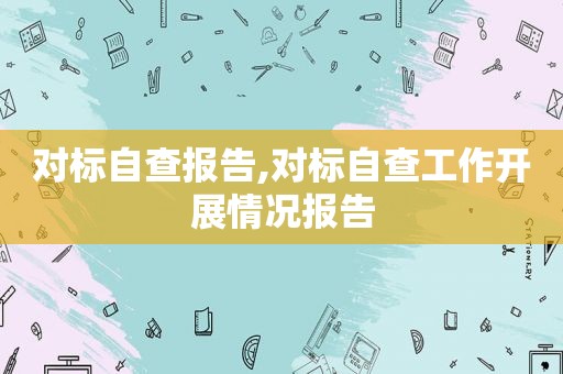 对标自查报告,对标自查工作开展情况报告