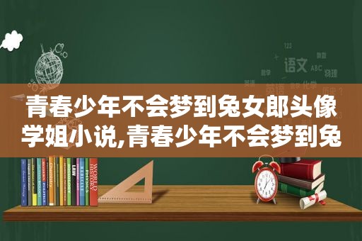 青春少年不会梦到兔女郎头像学姐小说,青春少年不会梦到兔女郎学姐剧场版在线播放