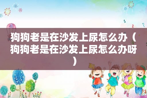 狗狗老是在沙发上尿怎么办（狗狗老是在沙发上尿怎么办呀）