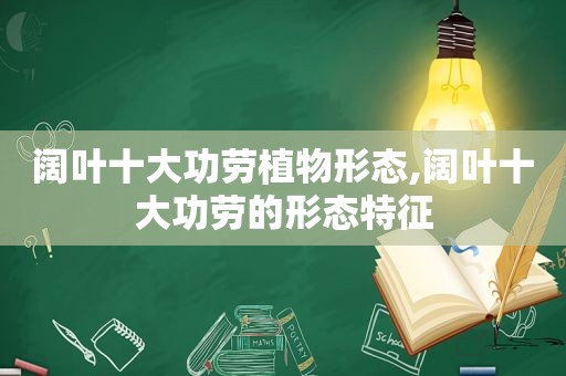 阔叶十大功劳植物形态,阔叶十大功劳的形态特征