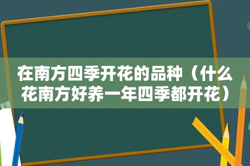 在南方四季开花的品种（什么花南方好养一年四季都开花）