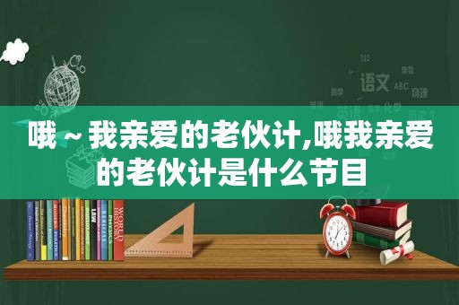 哦～我亲爱的老伙计,哦我亲爱的老伙计是什么节目