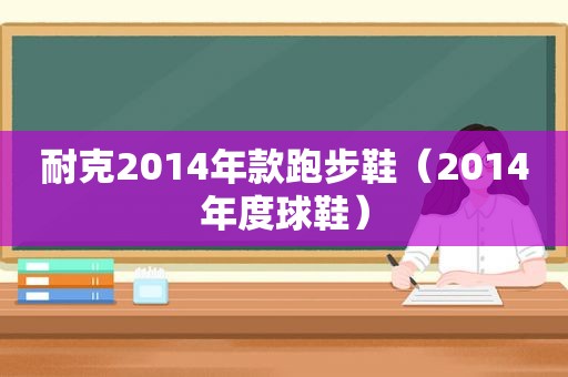 耐克2014年款跑步鞋（2014年度球鞋）