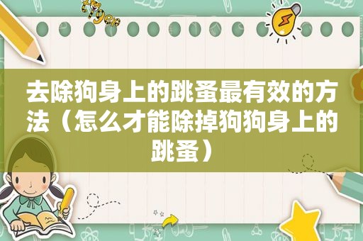 去除狗身上的跳蚤最有效的方法（怎么才能除掉狗狗身上的跳蚤）