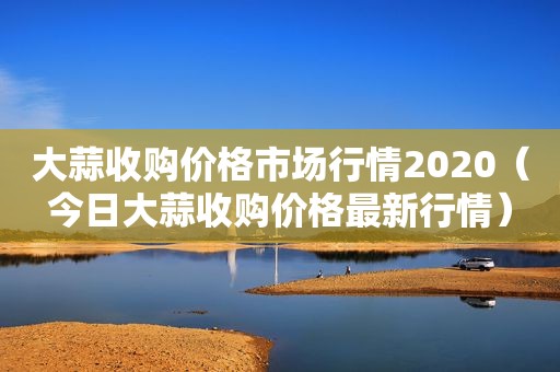 大蒜收购价格市场行情2020（今日大蒜收购价格最新行情）