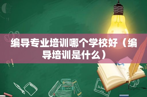 编导专业培训哪个学校好（编导培训是什么）