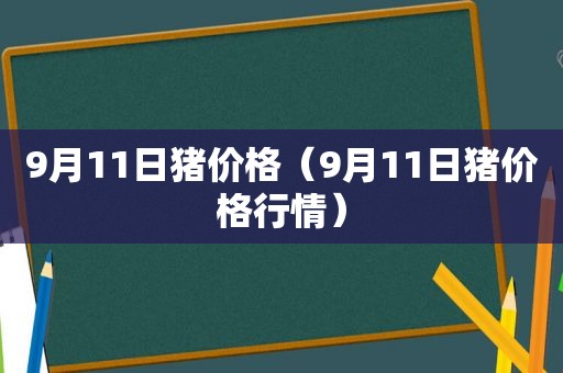 9月11日猪价格（9月11日猪价格行情）