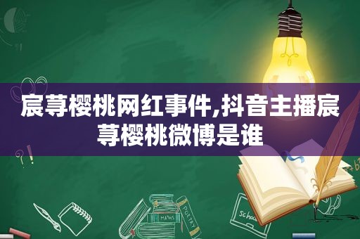 宸荨樱桃网红事件,抖音主播宸荨樱桃微博是谁