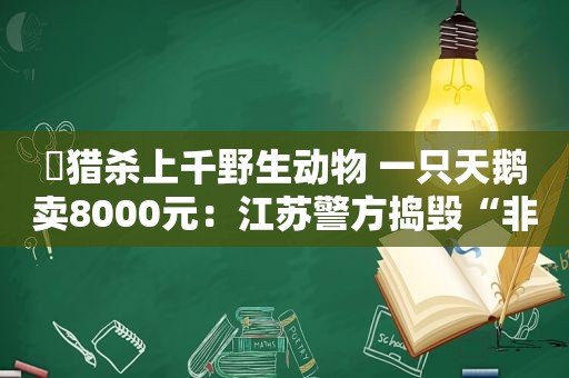 ​猎杀上千野生动物 一只天鹅卖8000元：江苏警方捣毁“非法猎捕”团伙