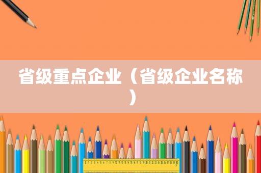 省级重点企业（省级企业名称）