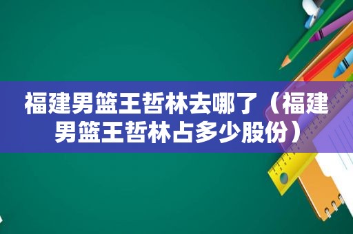 福建男篮王哲林去哪了（福建男篮王哲林占多少股份）