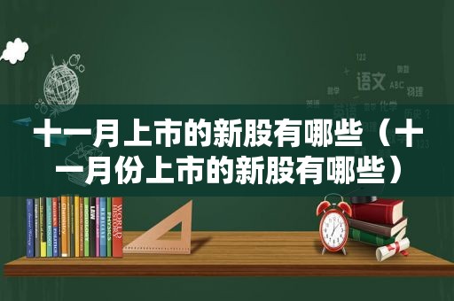 十一月上市的新股有哪些（十一月份上市的新股有哪些）