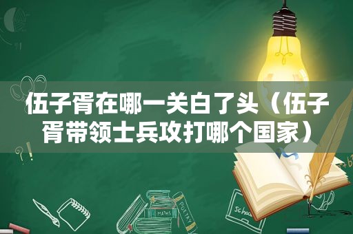 伍子胥在哪一关白了头（伍子胥带领士兵攻打哪个国家）