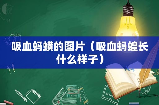 吸血蚂蟥的图片（吸血蚂蝗长什么样子）