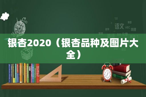 银杏2020（银杏品种及图片大全）