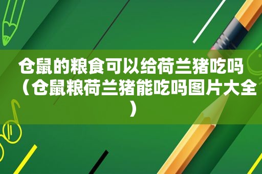 仓鼠的粮食可以给荷兰猪吃吗（仓鼠粮荷兰猪能吃吗图片大全）