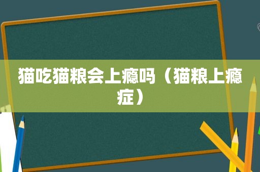 猫吃猫粮会上瘾吗（猫粮上瘾症）