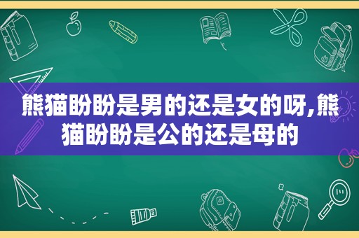 熊猫盼盼是男的还是女的呀,熊猫盼盼是公的还是母的