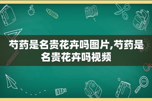 芍药是名贵花卉吗图片,芍药是名贵花卉吗视频