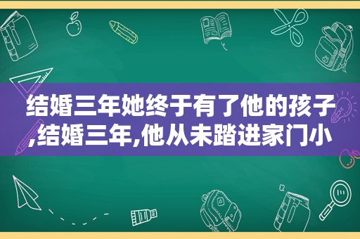 结婚三年她终于有了他的孩子,结婚三年,他从未踏进家门小说