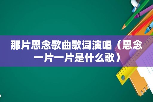 那片思念歌曲歌词演唱（思念一片一片是什么歌）