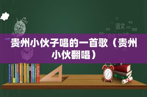 贵州小伙子唱的一首歌（贵州小伙翻唱）