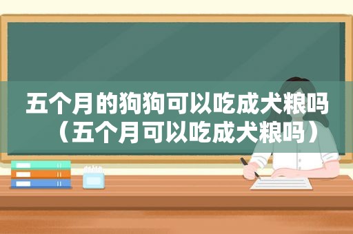 五个月的狗狗可以吃成犬粮吗（五个月可以吃成犬粮吗）