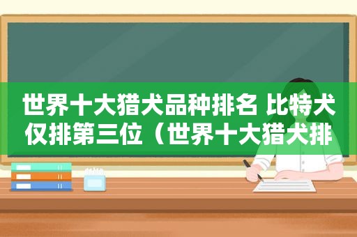 世界十大猎犬品种排名 比特犬仅排第三位（世界十大猎犬排行）