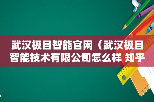 武汉极目智能官网（武汉极目智能技术有限公司怎么样 知乎）