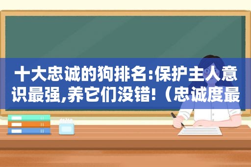 十大忠诚的狗排名:保护主人意识最强,养它们没错!（忠诚度最高的狗狗排名）