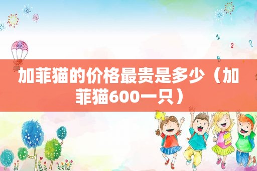 加菲猫的价格最贵是多少（加菲猫600一只）