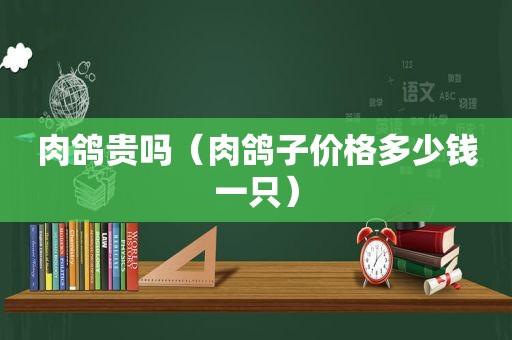 肉鸽贵吗（肉鸽子价格多少钱一只）